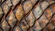 © Nottenaj - A detailed close-up of a pine cone, showcasing the intricate scales and rugged texture of the natural element