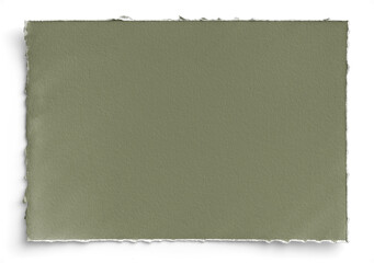 Canvas Print - Sage Deckled Edge Landscape A4 Paper 2