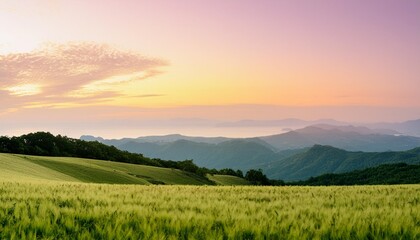 Wall Mural - soft pastel gradient background with light yellow and lavender colors