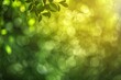 © Антон Сальников - Blurred fall background for design wallpaper, spring background with light green blur