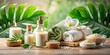 © Sujid - Elegant spa essentials collection with beauty products and natural decor, spa, essentials, collection, beauty products