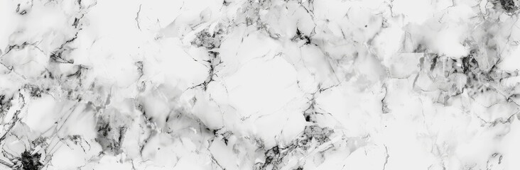 Canvas Print - In interior decoration, marble granite white background wall surface black pattern graphic abstract light elegant gray for ceramic counter texture stone slab smooth tile silver natural.