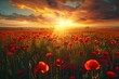 © Horsi - Sunset Over a Field of Poppies