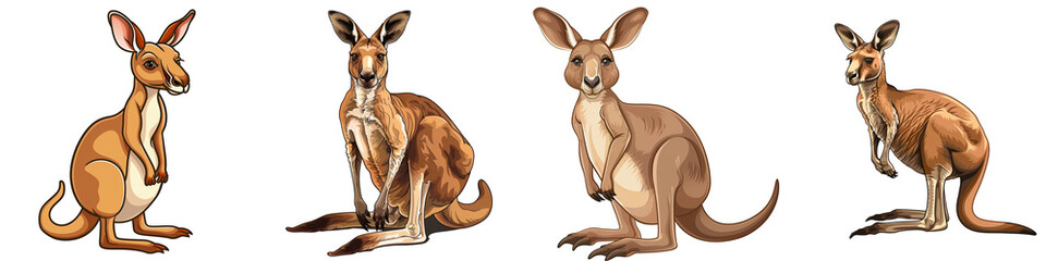 Illustration of four kangaroos in various poses. The kangaroos are drawn with detailed features showcasing different stances.