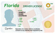 © Mariia - Florida driver's license isolated on white background. Person driver license