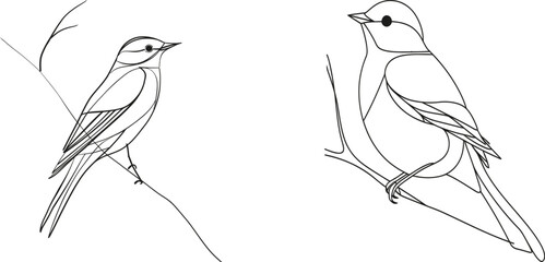 Leinwandbilder - A black linear sketch of a sparrow on a white background in continuous line art style. Modern illustration.