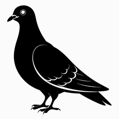 Pigeon Black silhouette