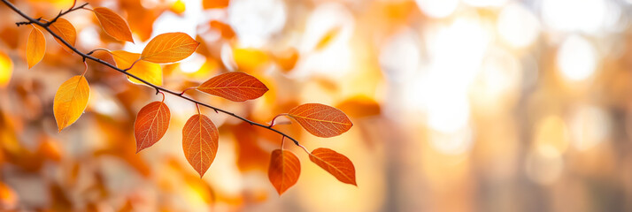 Sticker - Blurred autumn background with orange and yellow leaves subtle Halloween decorations warm and festive atmosphere 