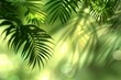 © Faustudio - Palm leaves shadow on green background.