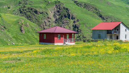 Scenic house surrounded by colorful grass in Kazbegi