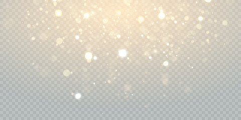 Leinwandbilder - Sparkling Christmas gold particles, glowing bokeh lights isolated on transparent background Adobe Illustrator Artwork