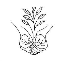 Wall Mural - Two hands carefully and carefully hold a young plant in their palms, close-up, one-line vector drawing