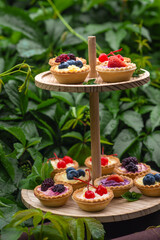 Wall Mural - Berry tartlets with butter cream lie on a wooden whatnot outdoors on the table