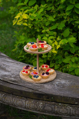 Wall Mural - Berry tartlets with butter cream lie on a wooden whatnot outdoors on the table