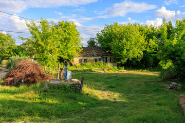 Wall Mural - A small house sits in a grassy yard with trees in the background. June 5, 2024 Maramonovca Moldova