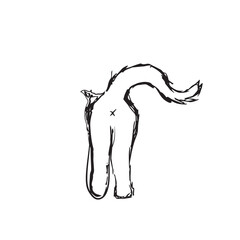 Black and white cat ass, fluffy pet testicles and tail, kitten anus and genital draw cat. Hand drawn kitten