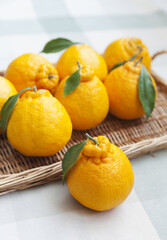 Canvas Print - Close-up of a yellow Hallabong fruit with stalk and leaf on cloth floor against others on bamboo basket, South Korea
