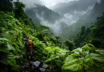 Sticker - Adventurous Hiker in Lush Himalayan Rainforest