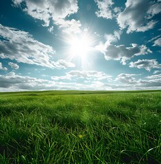 Poster - Sunny Day Lush Green Grassland Field