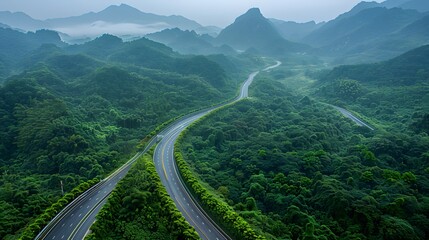 Wall Mural - Winding Road Through Lush Green Forest in China