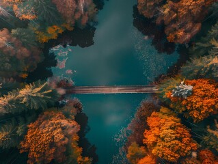 Poster - Autumn Forest Aerial View with Lake and Bridge