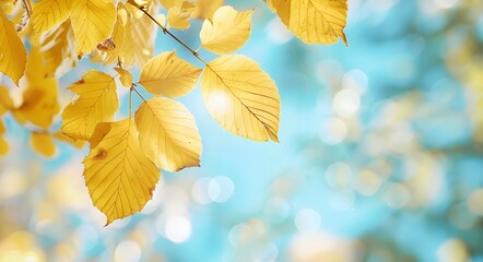 Canvas Print - Autumn Leaves Branch Blue Sky Bokeh Background