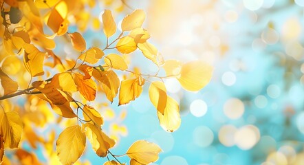 Poster - Autumn Leaves Branch Against Blue Sky