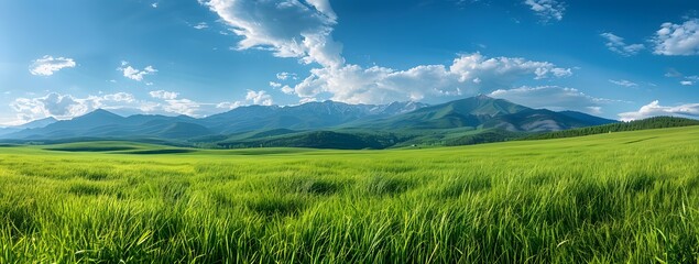 Canvas Print - Green Grassland With Mountain Views