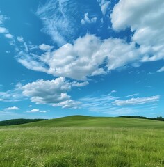 Canvas Print - Green Grass Field Under Blue Sky with Clouds