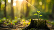 © sornram - A small plant growing from a tree stump in a sunlit forest, symbolizing new beginnings and resilience in nature. Sun rays illuminate the scene.