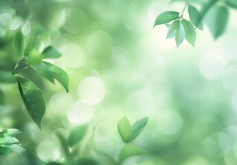 Wall Mural - abstract green blurred background with copy space