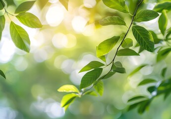 Wall Mural - soft focus green leaves with bokeh background