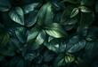 © MD - Dark Green Leaves Texture Background