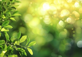 Wall Mural - green leaves sunlight bokeh blurred nature background