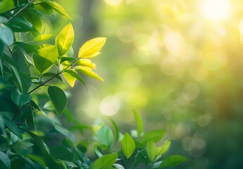 Wall Mural - sunlight through green leaves natural landscape