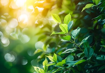 Wall Mural - sunlit spring leaves with blurred background