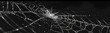 © wanna - a black background with spider webs on the left and right sides,