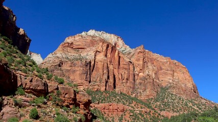 Wall Mural - red sandstone rock formations at zion national park.
