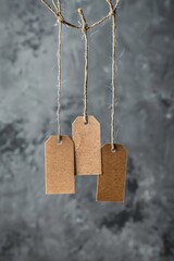 Three blank brown paper tags hang from strings, with a blurred gray background, ideal for your design or label customization needs.