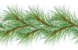 © Ekaterina Lanbina - Christmas tree branches by watercolor on seamless border isolated on white. Pine botanical repeat background. Spruce tree branches on repeating pattern design for wrapping paper, fabric, package.
