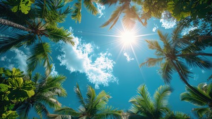 A sunny tropical background with palm trees and a blue sky. A view from below. High quality photo