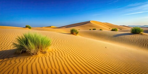 Poster - Desert scene with sandy dunes, sparse vegetation, and clear blue sky, desert, arid, wilderness, sand dunes, hot, dry, sunny