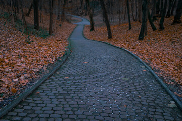 Wall Mural - mist dusk fall season park empty natural depressive space curved road pavement walking foot path way