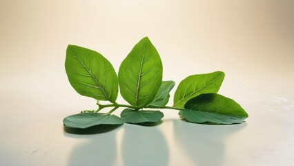 Sticker - Green leaves on a white background.