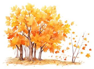 Sticker - PNG Autumn plant maple tree.