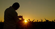 © StockMediaSeller - Silhouette of a farmer inspecting corn sprouts at dusk.