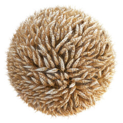 Wall Mural - PNG Round wheat bundle sphere