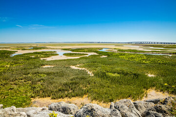 Wall Mural - Bay of Chateau-d'Oleron and Ile d'Oleron bridge at low tide in France