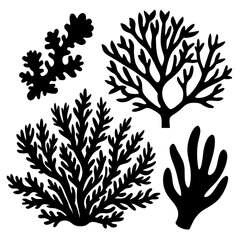 Wall Mural - Discover Different Coral Silhouettes on a Clean White Background