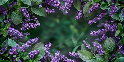 Wall Mural - Lavender Wreath with Green Leaves on White Background. Concept Floral Arrangement, Home Decor, Simple Elegance, Botanical Beauty, White Background